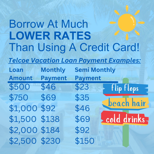 TELCOE LOAN PAYMENT OPTIONS